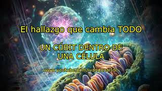 ESTO LO CAMBIA TODO - UN CÚBIT DENTRO DE UNA CÉLULA - LA PRUEBA DEFINITIVA DEL SER CUÁNTICO