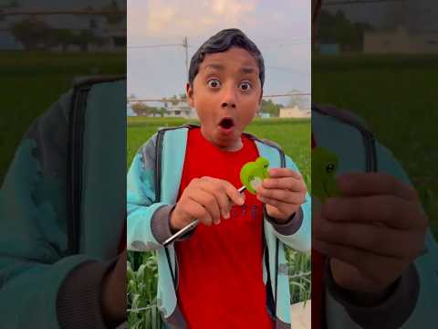 Oo Antava Oo Oo Antava ❤️😜 #shorts #thebnbrothers #funny #love