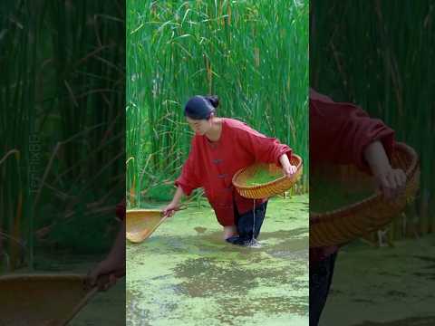Pond weed is now 'green gold' for hair! 🌿✨ #shorts #HandmadeSoap #NatureLovers #ViralShorts #facts