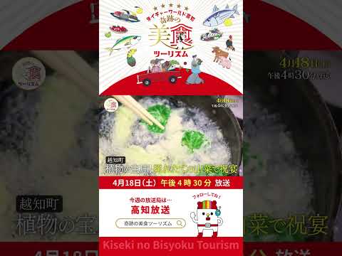 植物の宝庫🍃✨採れたて山菜で青空祝宴!世界が認めた日本酒と絶品ウナギ #奇跡の美食ツーリズム #奇跡の美食学 #高知グルメ #高知旅行