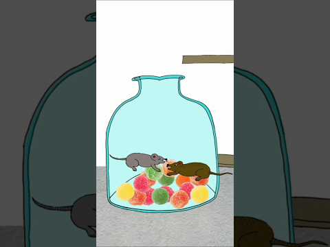 The greedy mouse Big feast 🐀😵#shorts   #chidiyaranistories
