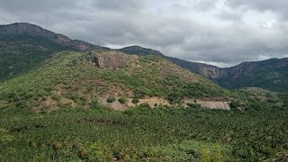 மலையில் மூலிகை பயணம்
