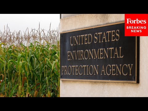 YouTube video thumbnail: Agriculture Producers Asked About Potential Business Impacts From 'Politicized' Regulations