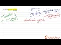 Dependency and Role of Citric Acid