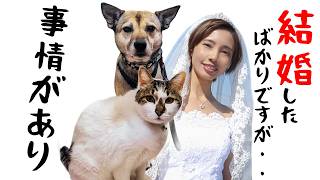 「事情があって..徹夜で引越します！」犬と猫VLOG