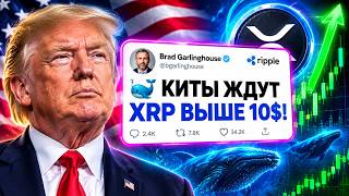 ДОКАЗАТЕЛЬСТВО: КИТЫ НАЧАЛИ СКУПАТЬ XRP! CLARITY ACT ОТКРОЕТ ДОРОГУ МАССОВОМУ ИСПОЛЬЗОВАНИЮ RIPPLE?!