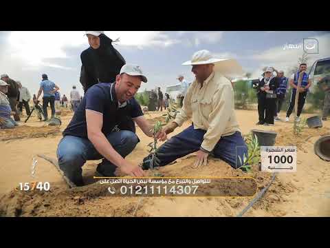 نبض الحياة  | الأحد 13 يوليو 2025 - إزاي اتعامل مع الزوجة الناشز ؟