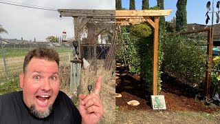 How to Prepare your Garden for Spring