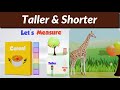 Exploring Height Comparisons and Non-Standard Measurements
