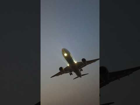 আ*ত*ঙ্কে কেউ কেউ কল দিলো ৯৯৯ এ#foryou #shorts #subscribe