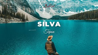 Tepon - Silva [ambient classical electronic]