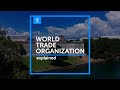 WTO Decision-Making and Roles