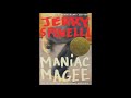Maniac McGee Character and Plot Questions