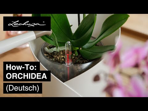 How-To: ORCHIDEA | LECHUZA | Deutsch