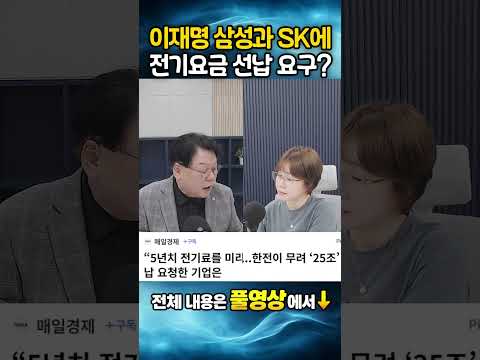 이재명 삼성과 SK에 전기요금 선납 요구?