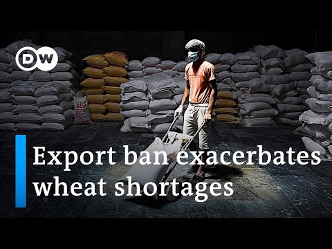 Heat waves push India to ban export of wheat | DW News