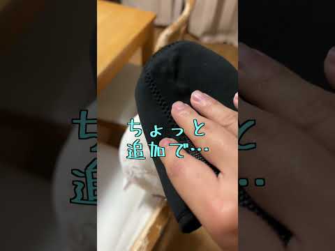 オウムの脂粉がすごいことを実際に証明してみせよう#shorts