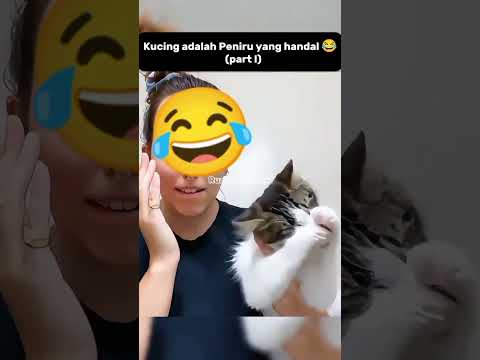 Kucing mode peniru part I😂#shorts #kucing #funnycats #pets #catlovers #shortsvideo