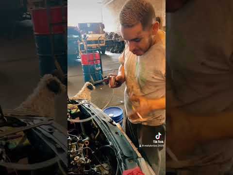Como saber donde tenes fuga de presión de aceite #viral #funnyshorts #parati #funny #youtubeshorts