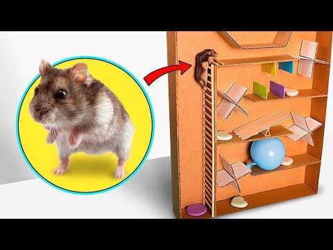 Ho costruito una casa per criceti a forma di anguria con la penna 3D! 🐹🎨🍉