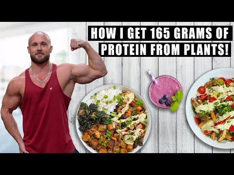 EASY HIGH PROTEIN VEGAN MEALS TO STAY FIT & STRONG | Recipes w/ Macros!