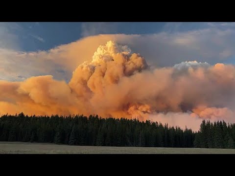 Smoke rises from spreading wildfire at Arizona's Grand Canyon | AFP