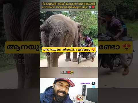ആനയുടെ സ്നേഹം കണ്ടോ♥️🙏