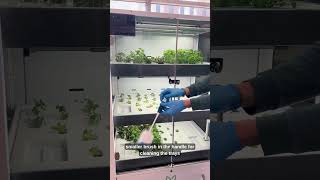 STEM Garden Cleaning Bundle