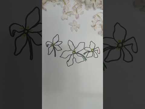 تعلم رسم زهرة الياسمين Learn to draw jasmine flower