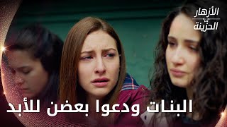 البنات ودعوا بعضن للأبد  - الحلقة 108 - الأزهار الحزينة - Kırgın Çiçekler