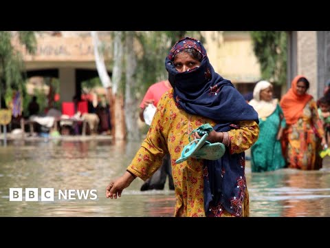 Thousands told to evacuate as Pakistan rivers rise – BBC News