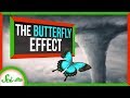 Understanding the Butterfly Effect and Chaos Theory