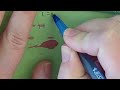 Blood Spatter Analysis Concepts
