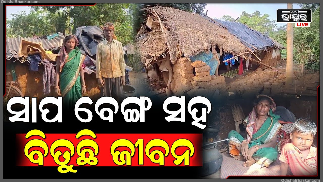 ମିଳୁନି ପକ୍କା ଘର... ଅଭାବୀଙ୍କୁ ମିଳୁନି ସରକାରୀ ଘର: ବର୍ଷ ବର୍ଷ ଧରି କୁଡିଆରେ ରହୁଛନ୍ତି ଗରିବ ଖଟିଖିଆ ପରିବାର