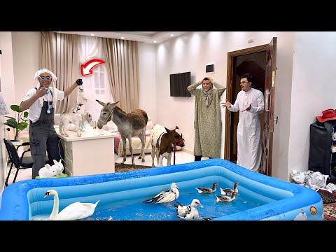 لما اخوك الصغير يقلب البيت عياده حيوانات 🫏😂| السلسيلي (جديد)