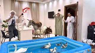 لما اخوك الصغير يقلب البيت عياده حيوانات 🫏😂| السلسيلي (جديد)