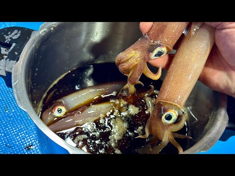 イカの女王を釣ってそのまま醤油にぶち込む！剣先イカの沖漬けがうますぎ！！