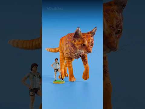 Animals vs Pimples!