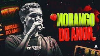 MORANGO DO AMOR - Pedrinho Pisadinha ( ÁUDIO OFICIAL )