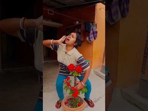 না দাদা আমি গাছ🌳কাটতে দেব না 😡😡 #shorts #youtubeshorts #funny #viralvideo