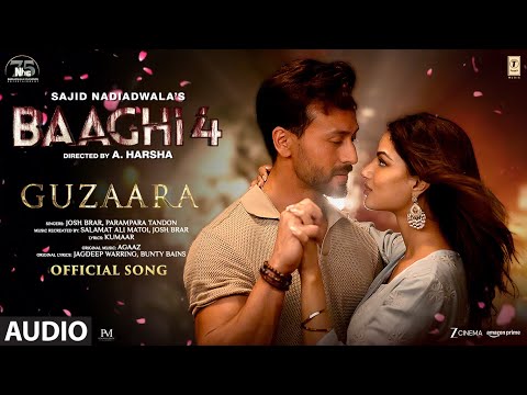 Baaghi
