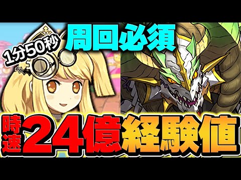 【最速ランク上げ】キメラアントを両サレ周回！1周1分50秒で8100万経験値！回らないと損！【パズドラ】