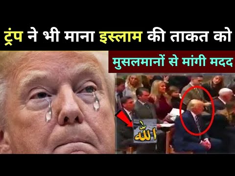 Election Jitne Ke Baad Donald Trump Ne Bhi Mana Islam Ki Taqat Ko || मुसलमानों पर दिया बड़ा बयान