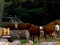 Unexpected Obstacles on a Journey