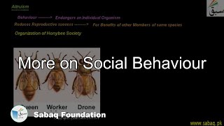 More on Social Behaviors