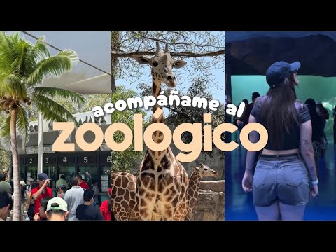 un día conmigo en el zoológico | vlog 🦭🐊🦒