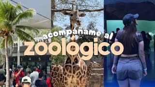 un día conmigo en el zoológico | vlog 🦭🐊🦒