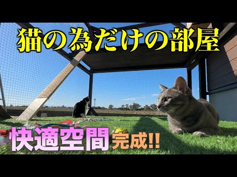 手作りの猫部屋を猫達は使ってくれるのか？！