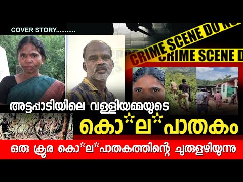 അട്ടപ്പാടിയിലെ വള്ളിയമ്മയുടെ കൊ*ല*പാതകം |VALLIYAMMA|PAZHANI|Attappadi.#news #malayalamnews #viral