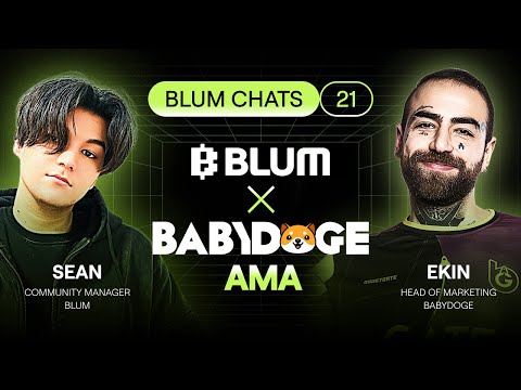 BABYDOGE Listing on Blum, the Future of Memecoins & Real Estate with Crypto | Blum Chats #21